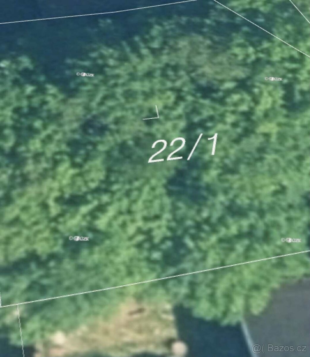 Dřevo za odvoz/vyčištění