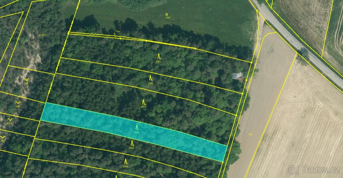 Prodám lesní pozemky v k.ú. Chvalešovice