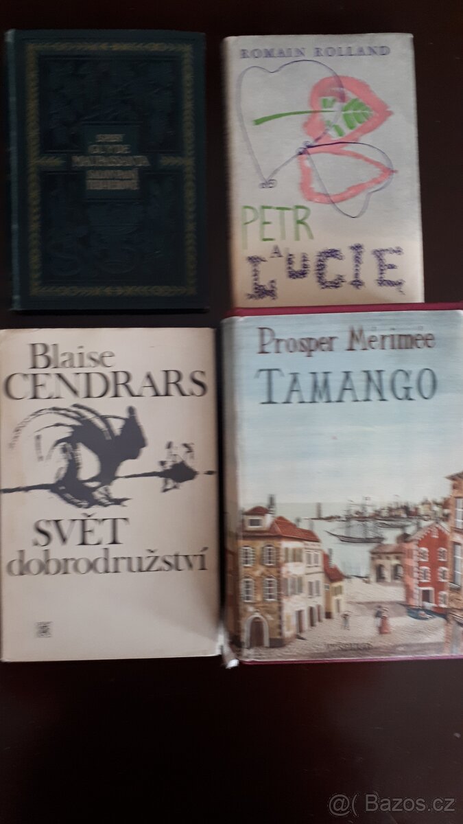 Francouzští spisovatelé