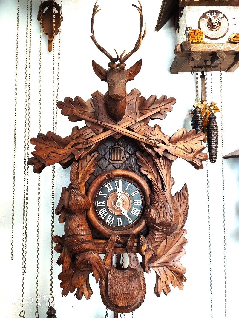 Hezke, kukacky, Schwarzwald