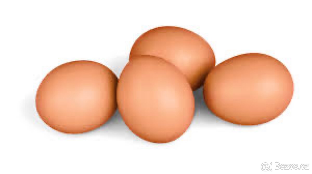 Vajíčka