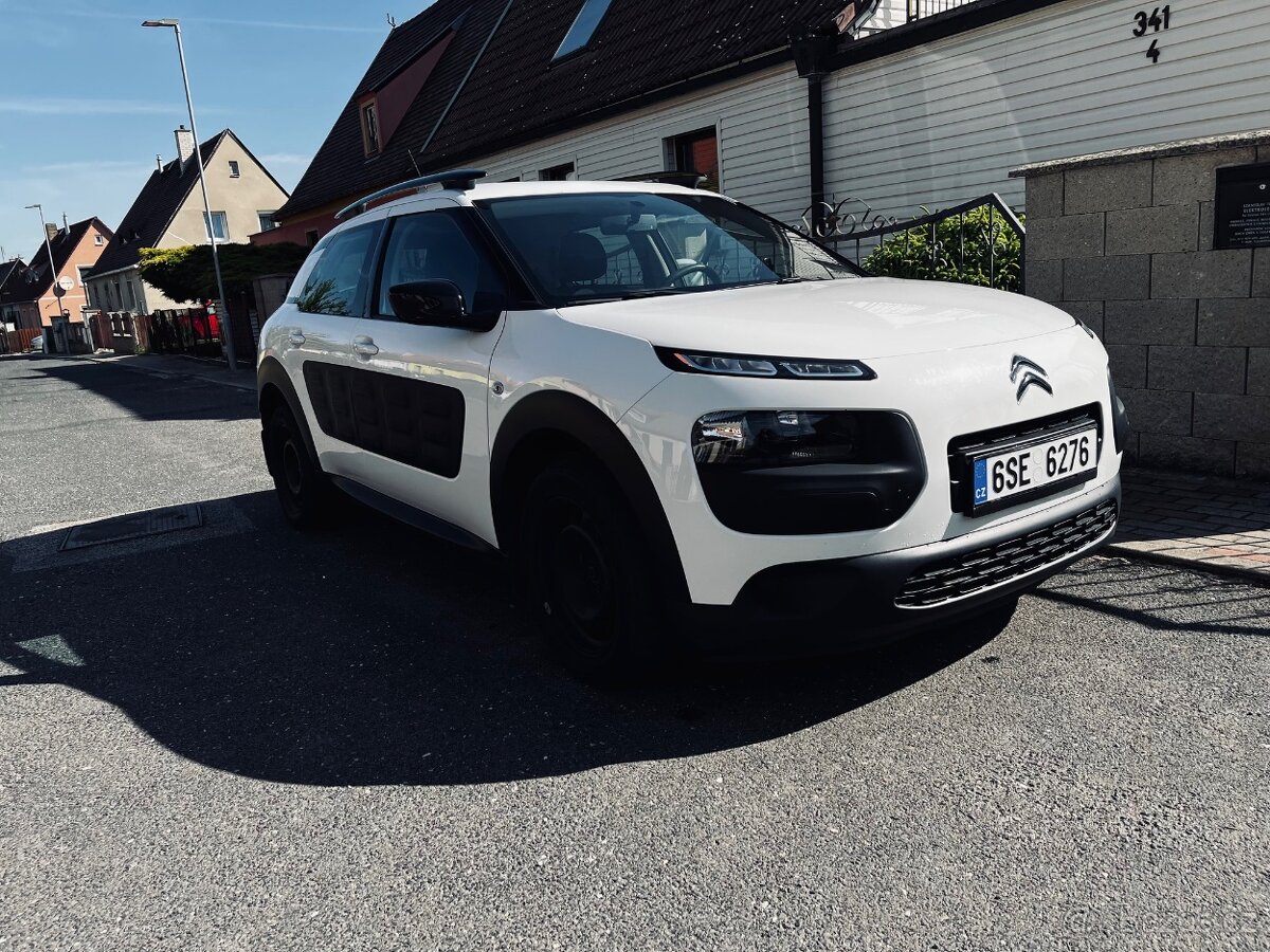 C4 Cactus