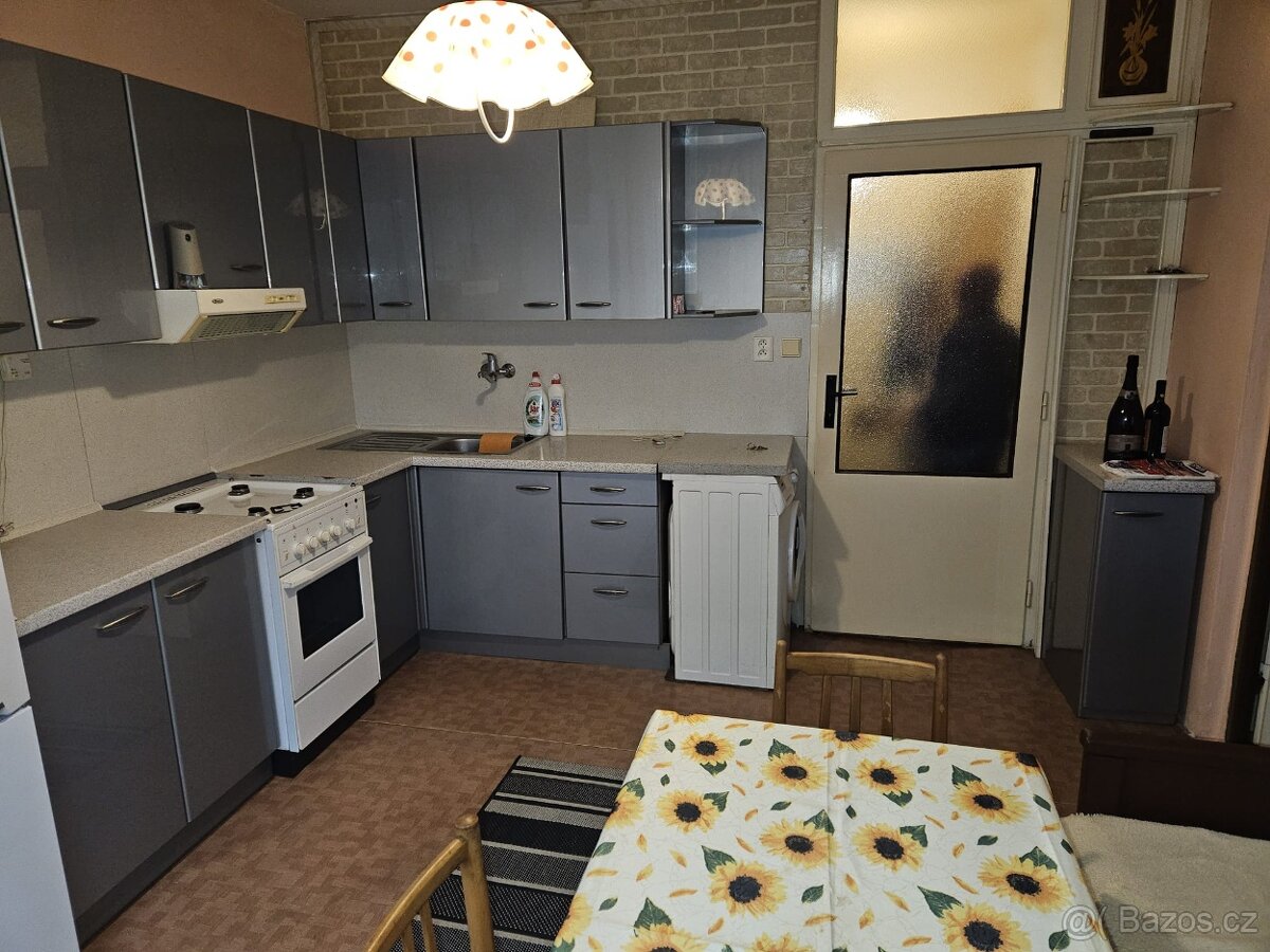 Pronájem bytu 1+1 Mariánské lázně