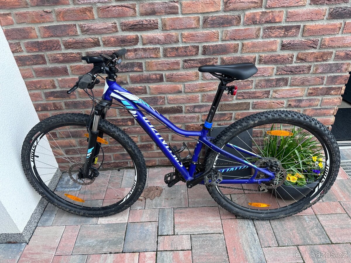 Horské kolo Specialized Jett 29” velikost S