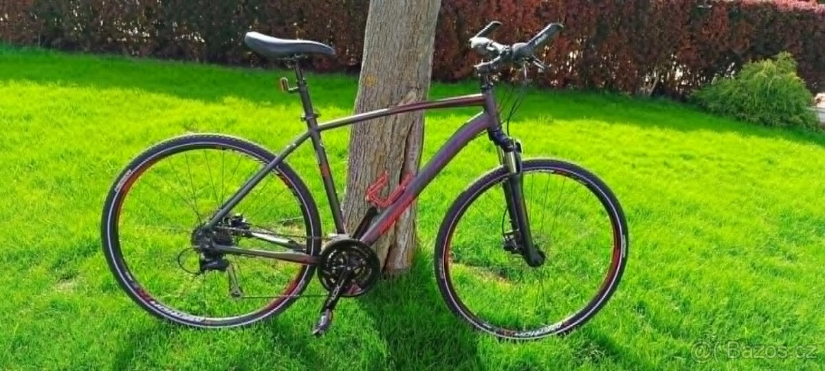Trek Merida