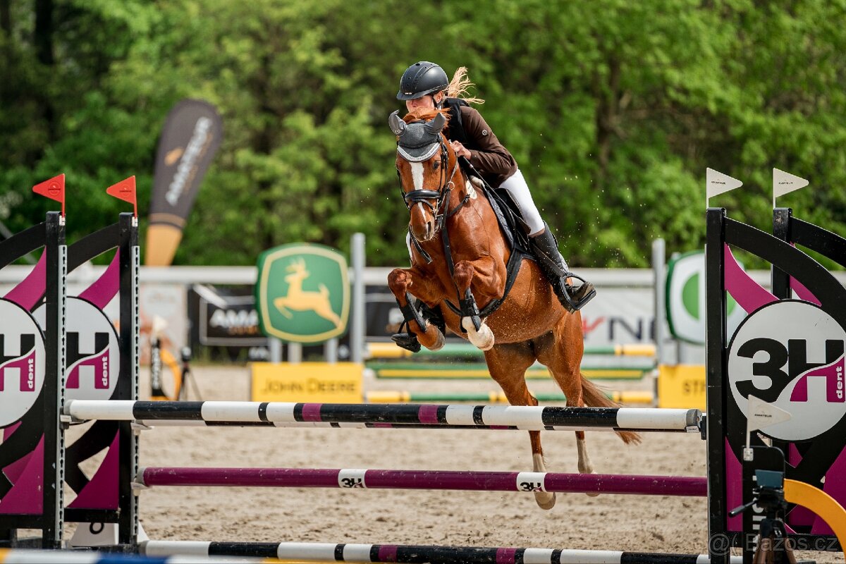 Pony B do sportu