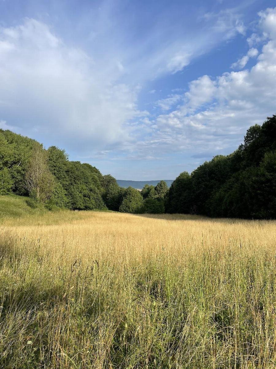 Prodám pozemky v k.ú. Útěchov u Moravské Třebové