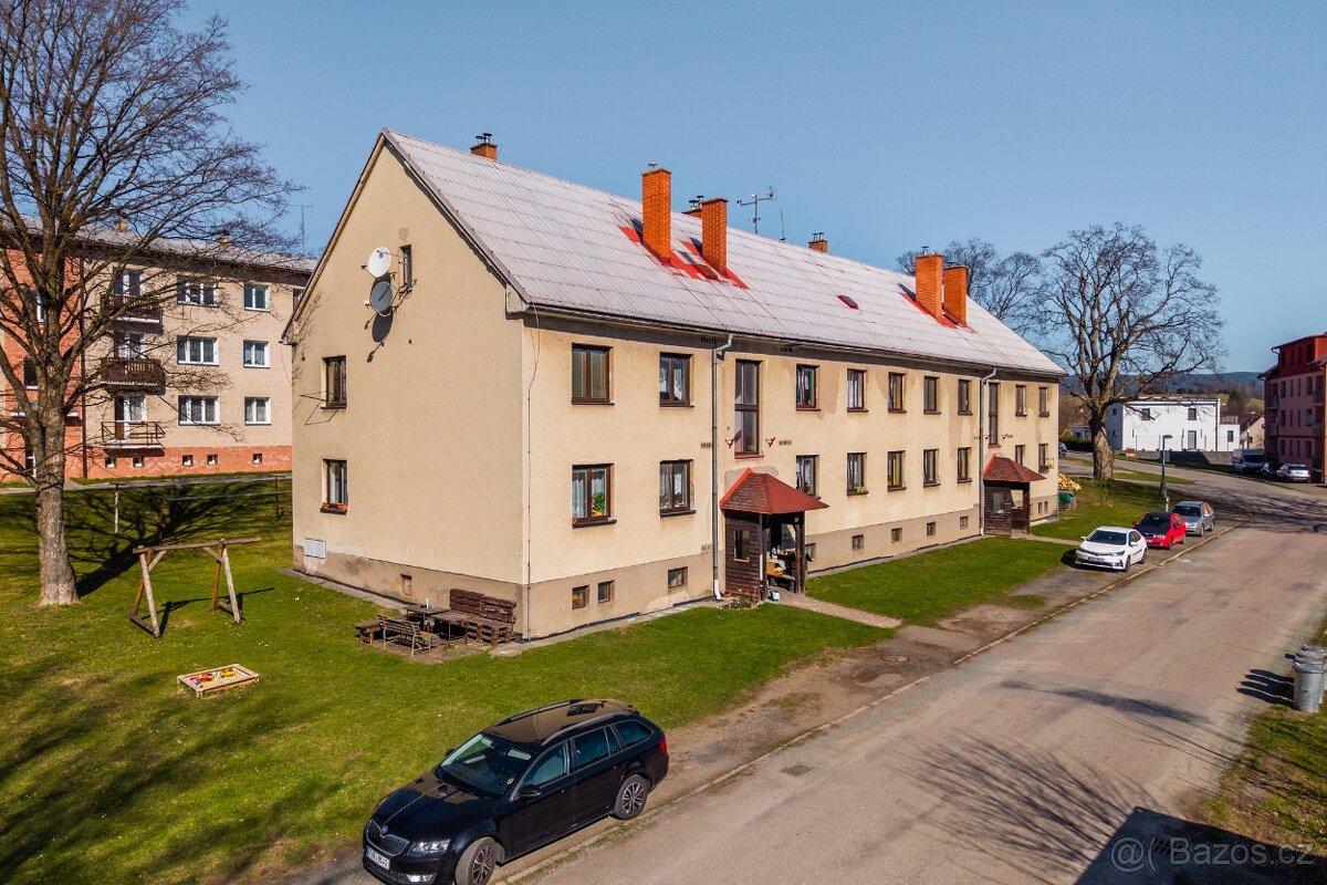 Prodej byty 2+1, 52 m² - Rokytnice v Orlických horách