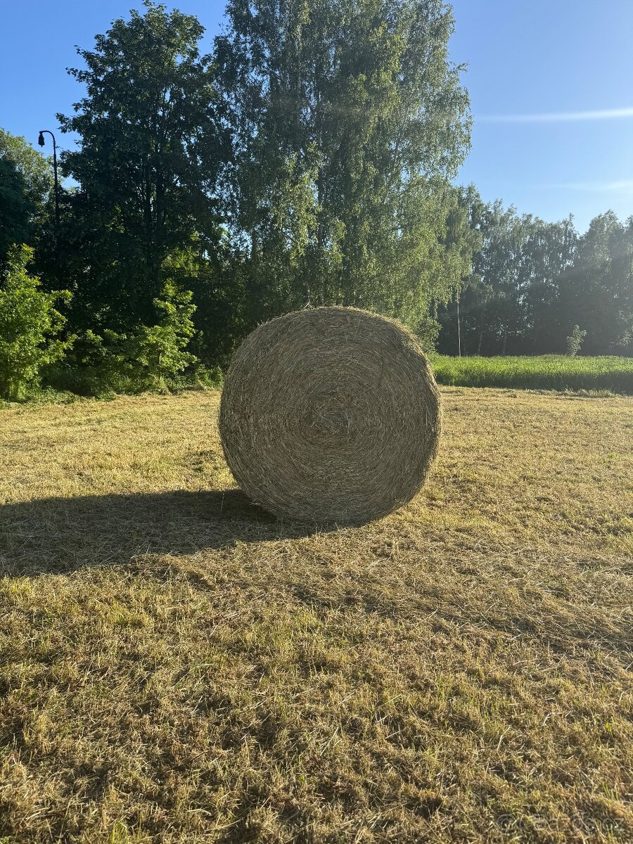 LETOŠNÍ SENO