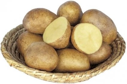Brambory na uskladnění