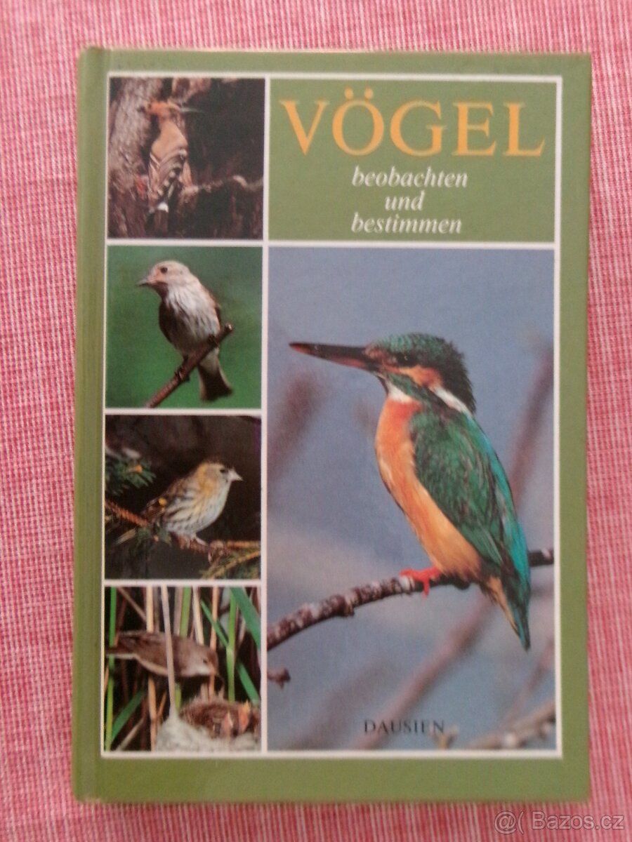 Vögel - beobachten und bestimmer.