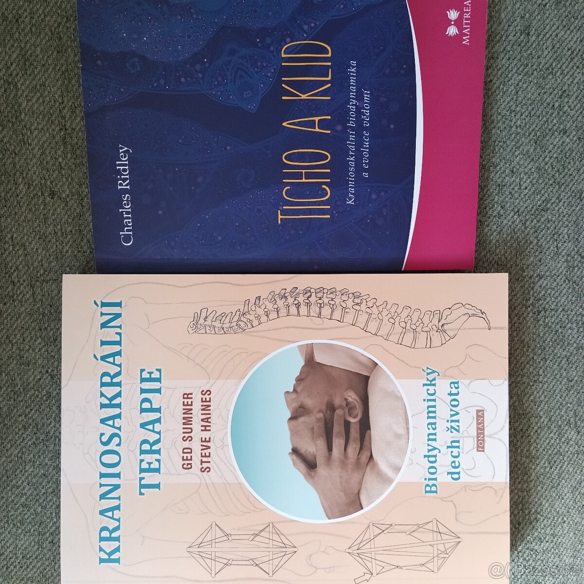 Kraniosakrální terapie 2x.