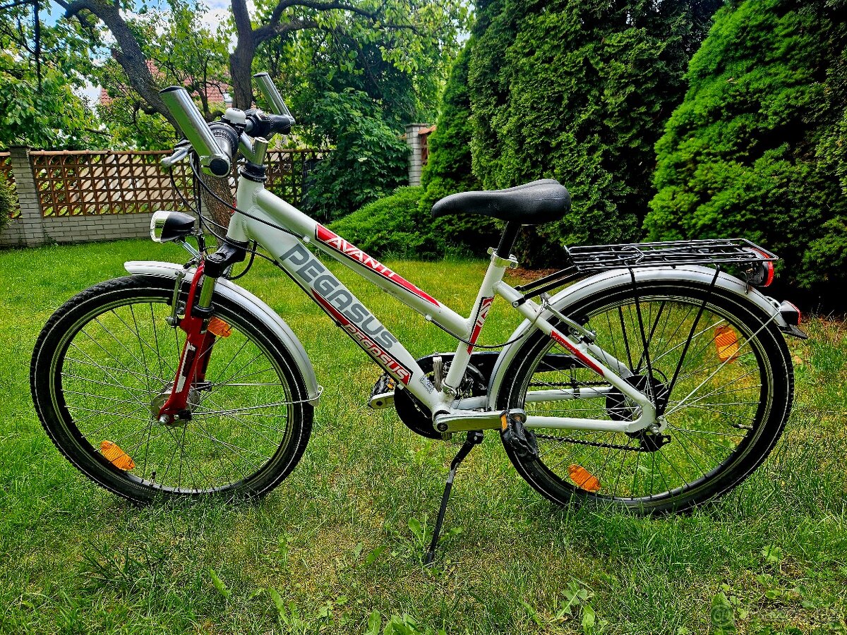 Detske hlinikove kolo Pegasus 24