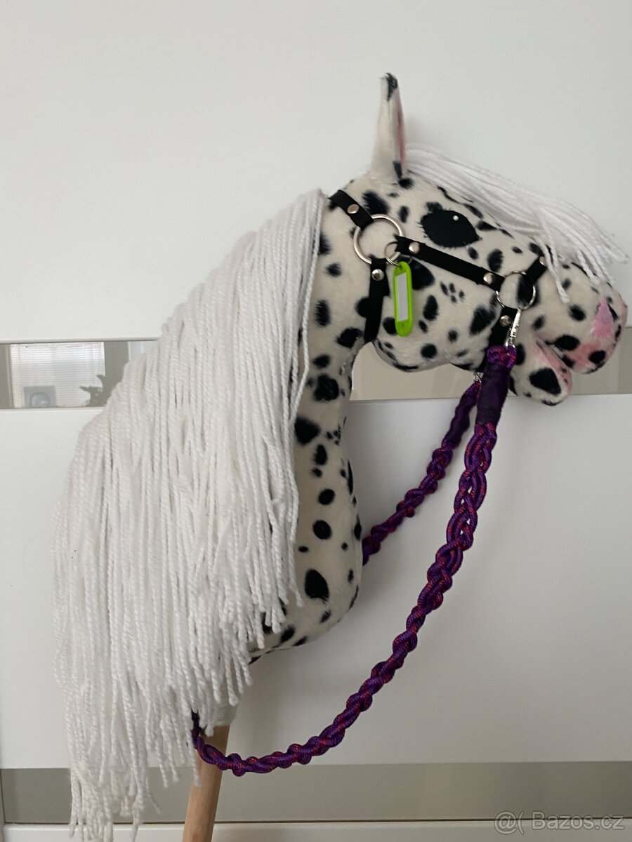 Hobby horse