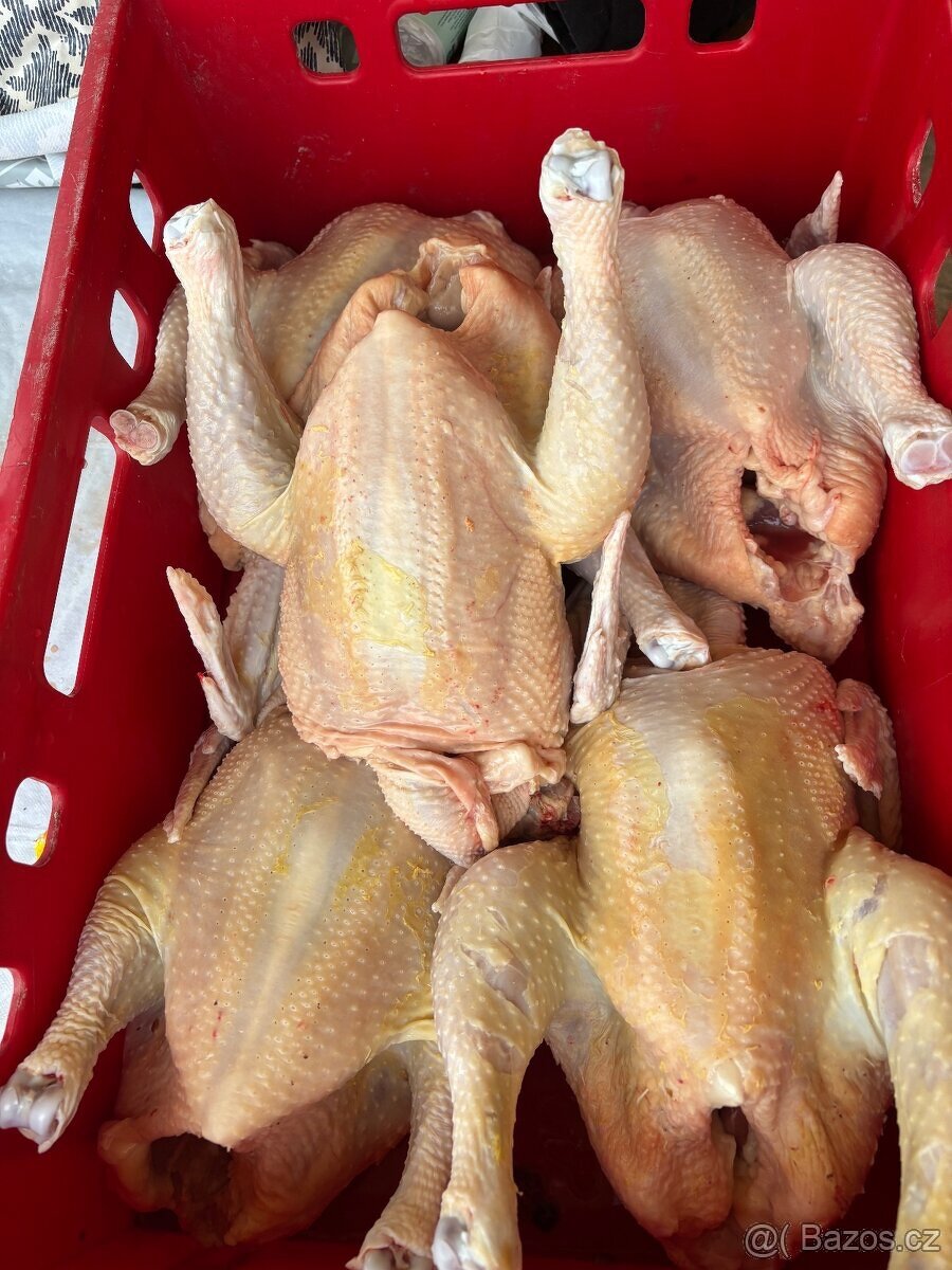 Vykrmená kuřata