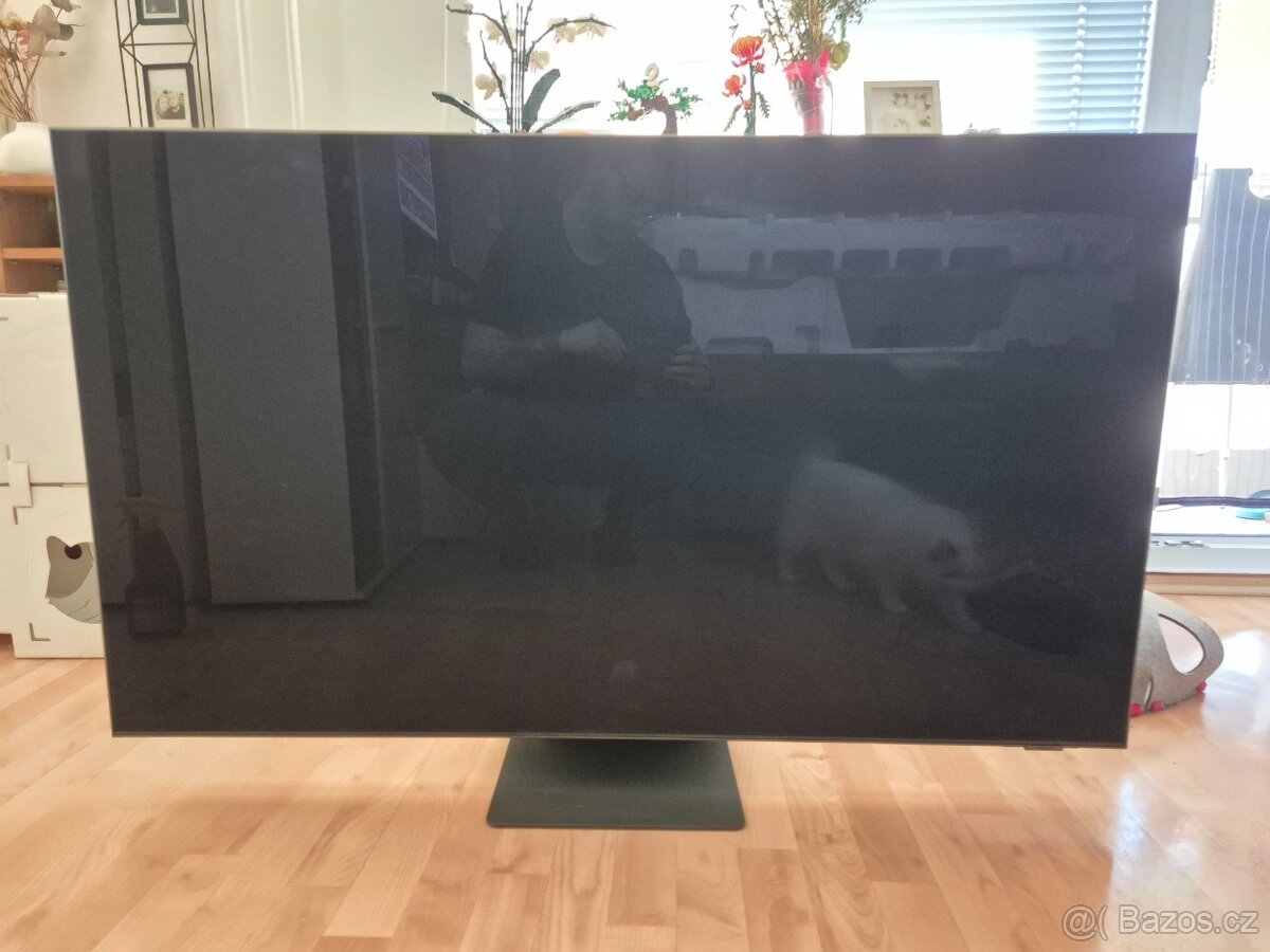 Televize Samsung 55" QN95A