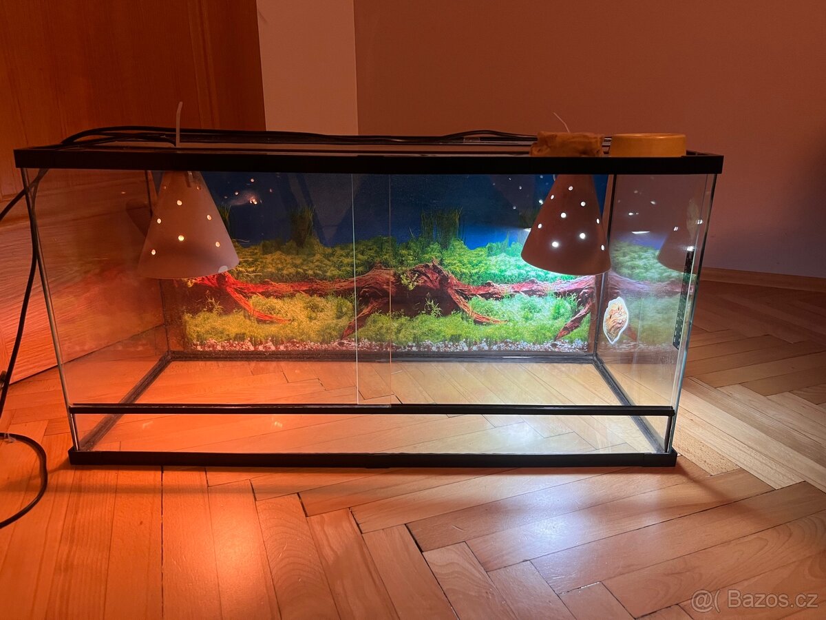 Terárium pro agamu – 80x35 cm –