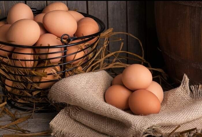 Vajíčka z volného chovu