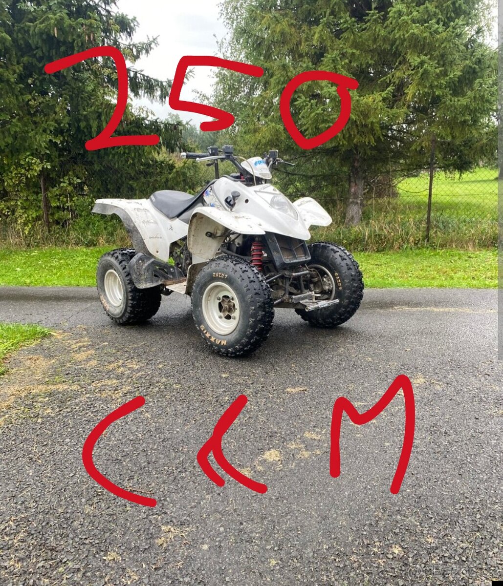 Koupím čtyřkolku 250