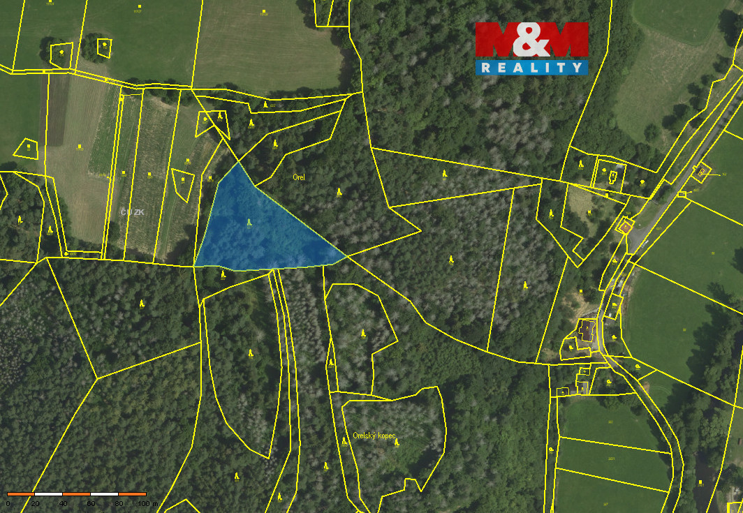 Prodej lesa v Koroužném