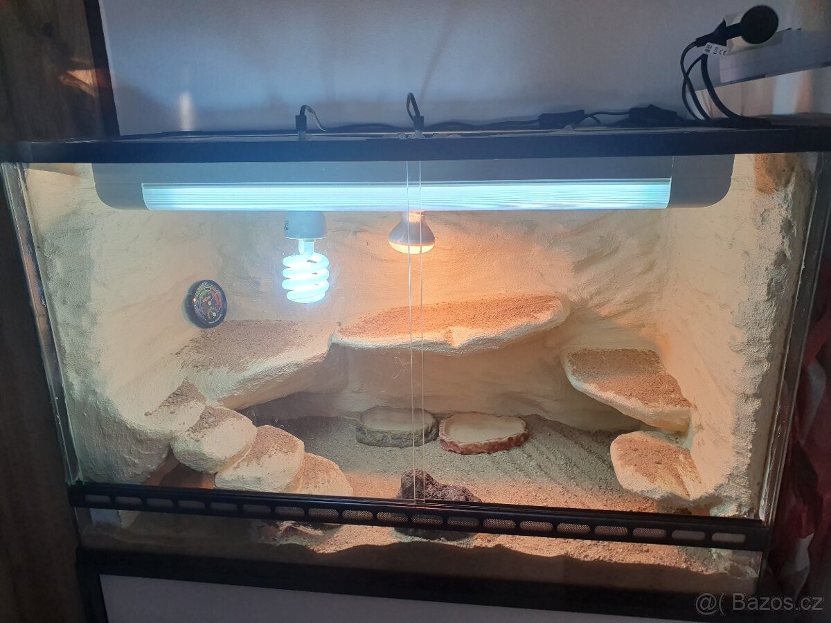 Terarium pro agamu 80x50x40