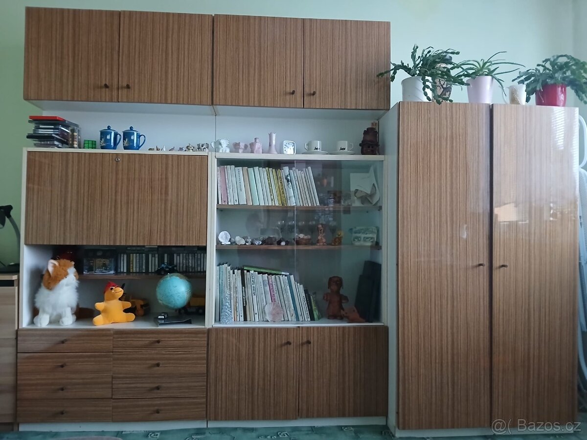 Starší nábytek (stěna)