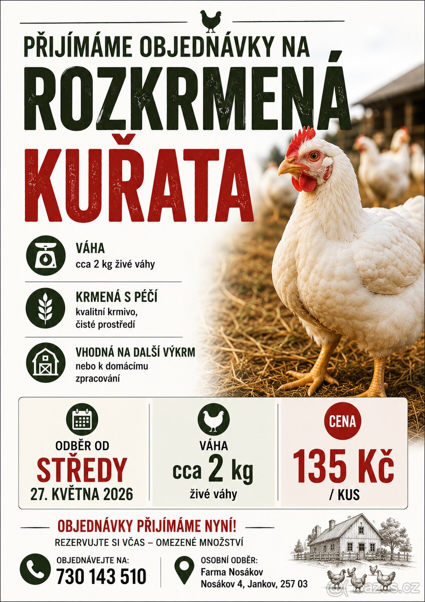 Brojleři na výkrm