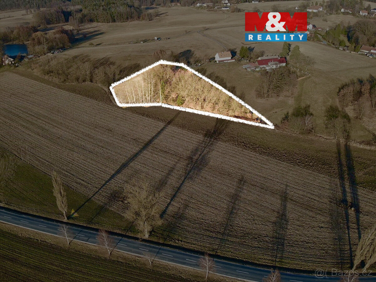 Prodej louky v Bošíně