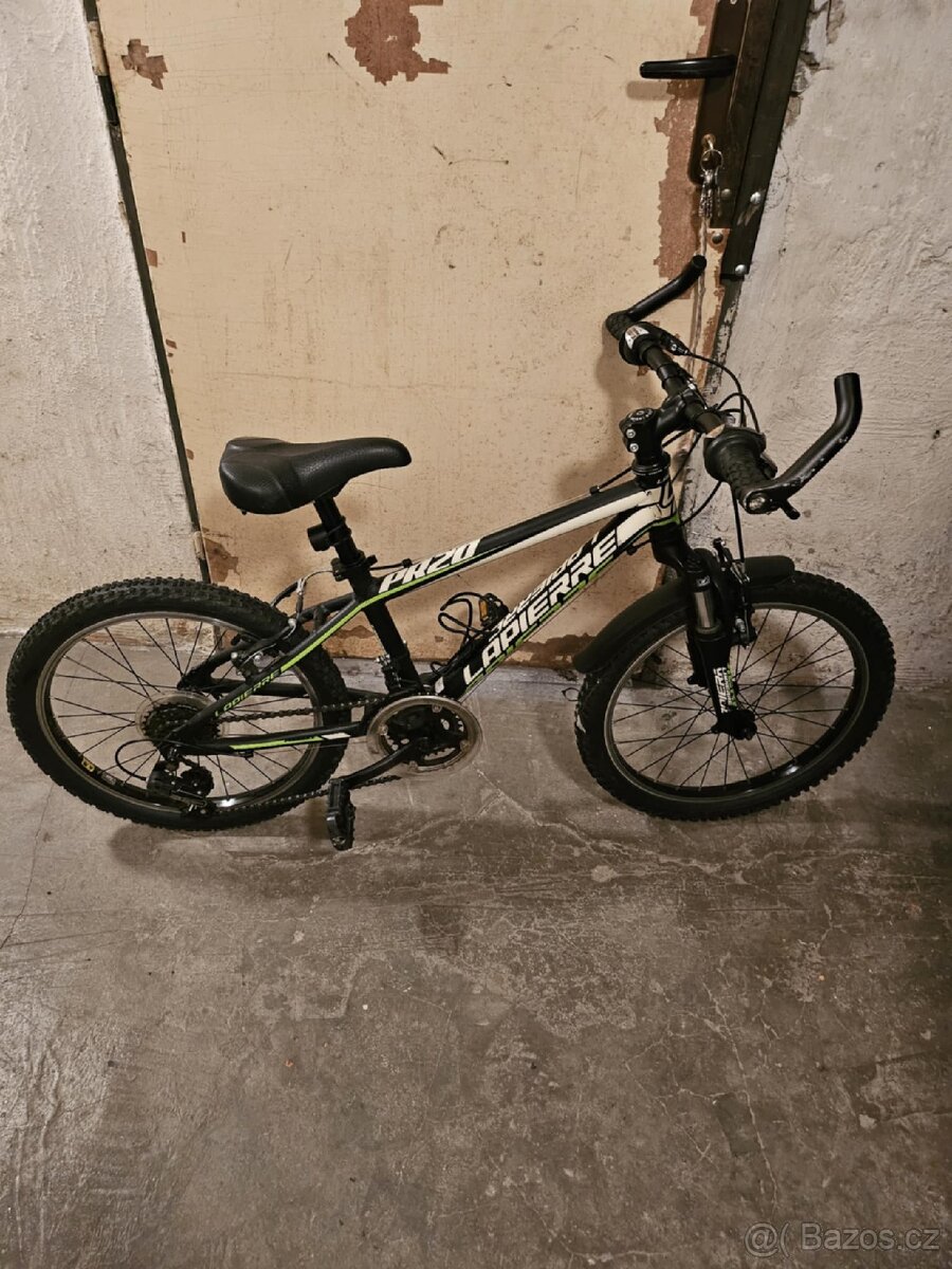Kolo 20"