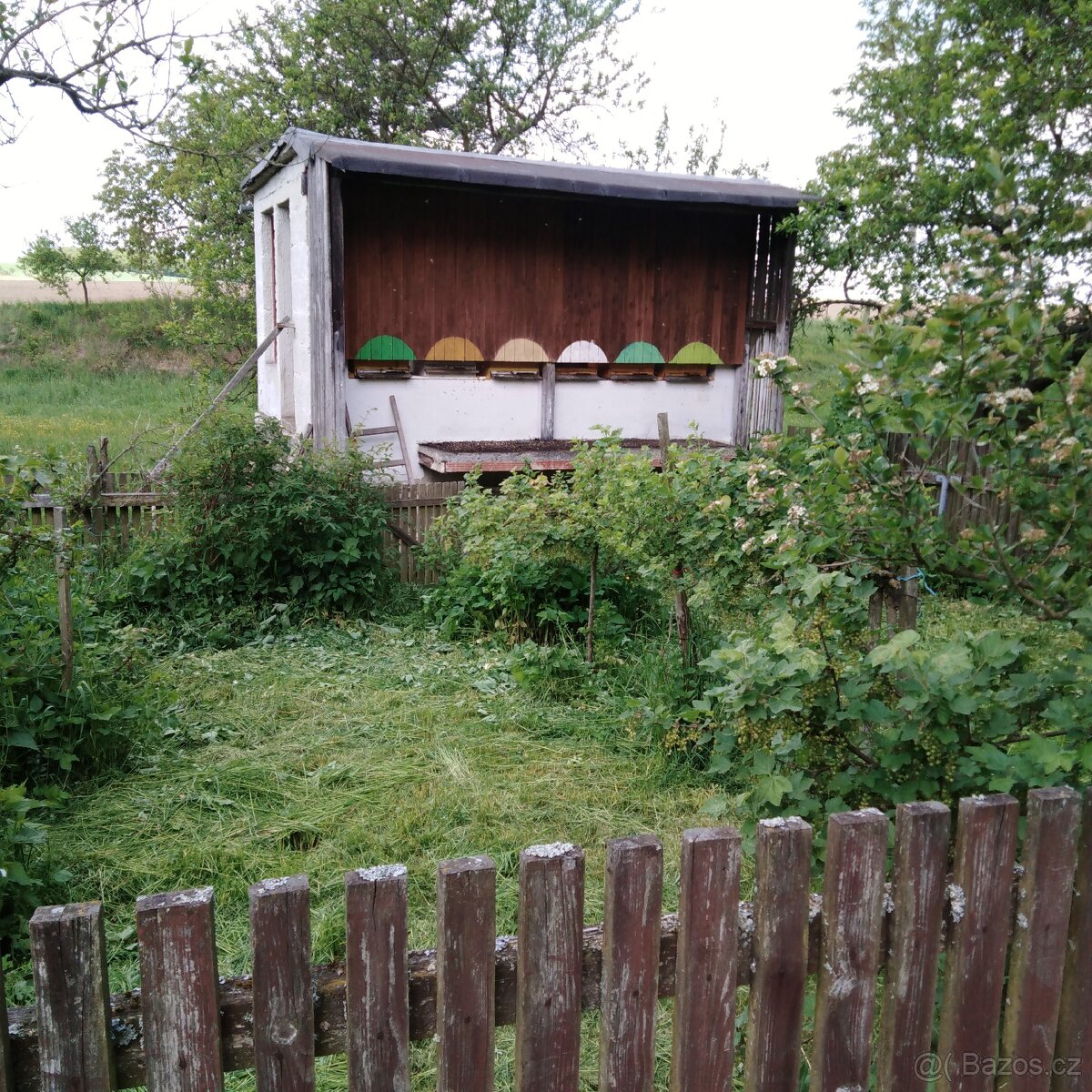 Prodej medu