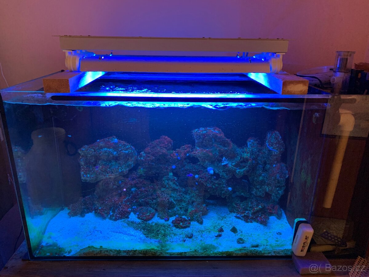 Mořské akvárium 200l