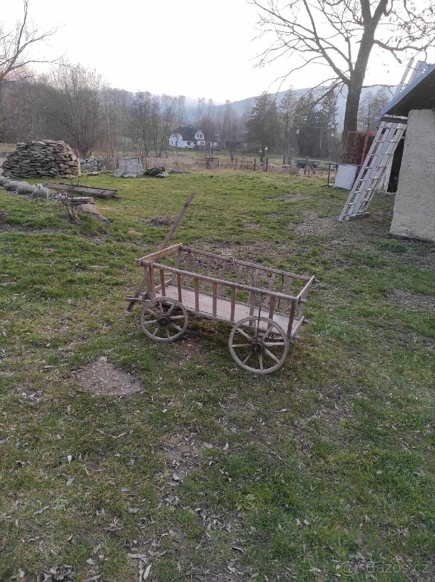 Žebřiňák