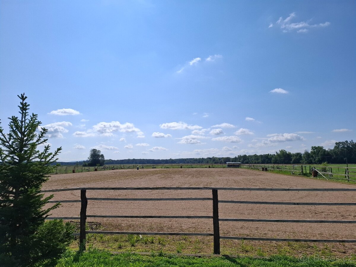 Ustájení