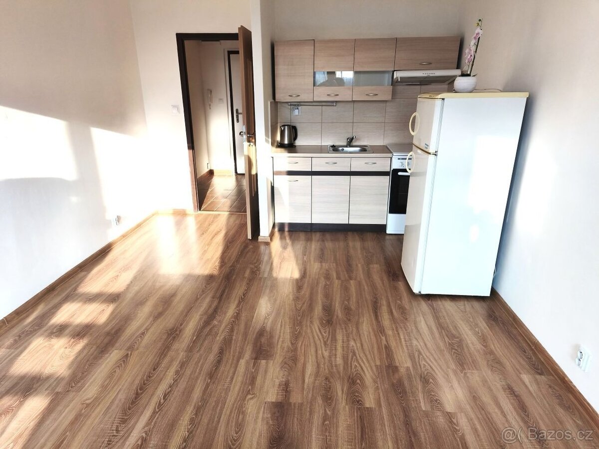 1+kk Mor. Ostrava, úpravy, 8.900 Kč + běžná elektřina. Volný