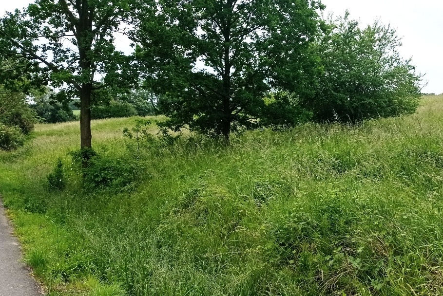 Prodej stavební parcely 10.687 m2