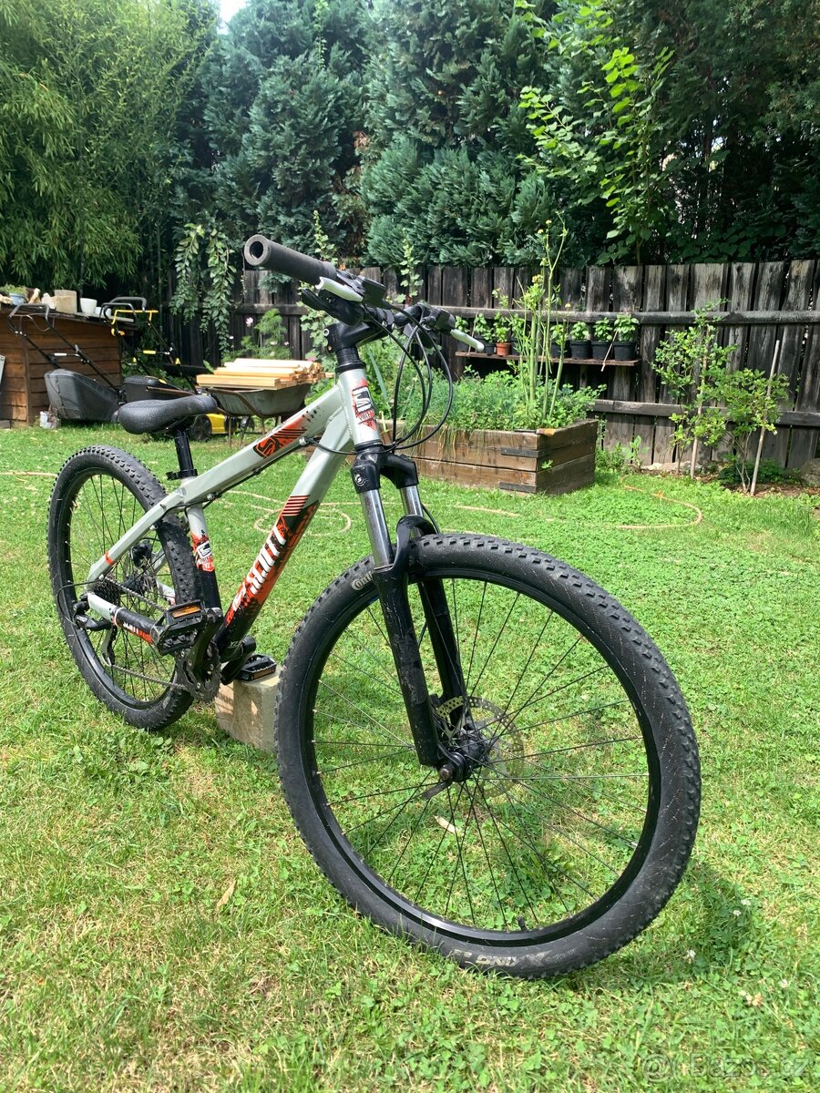 kolo Scott Voltage
