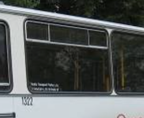 okno z autobusu