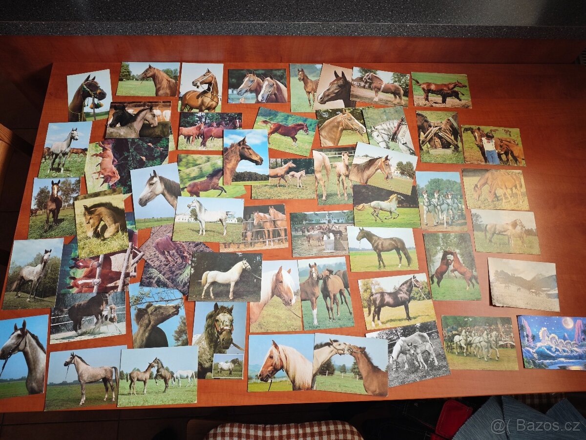 Pohlednice koní, 62ks