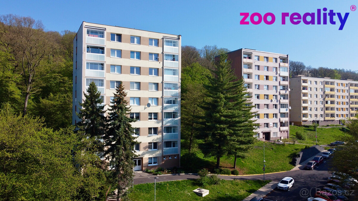 Prodej, Byt 1+1, ul. Tylova, Litvínov