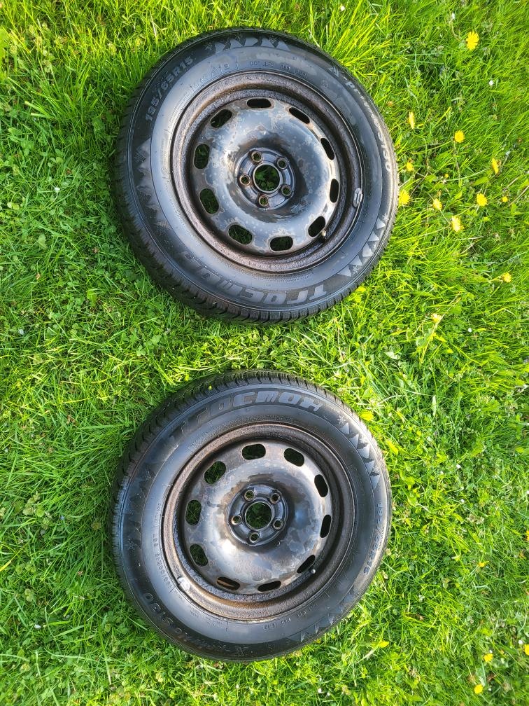 Zimní Pneu 195/65 R15