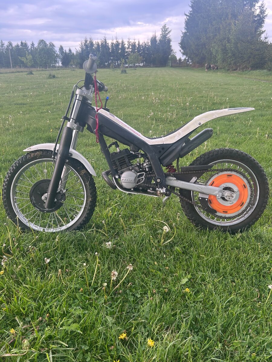 Beta 50 trial