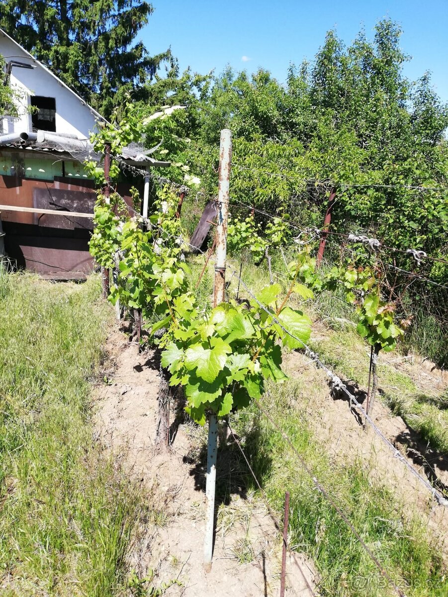 Prodej chaty s pozemkem