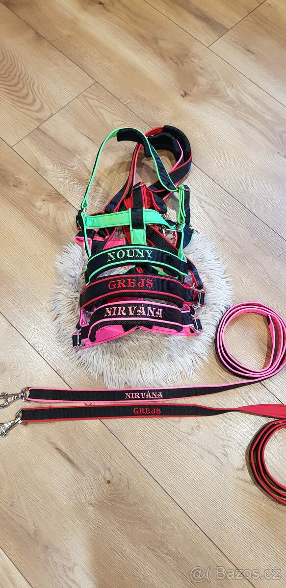 Ohlavka pro koně se jménem