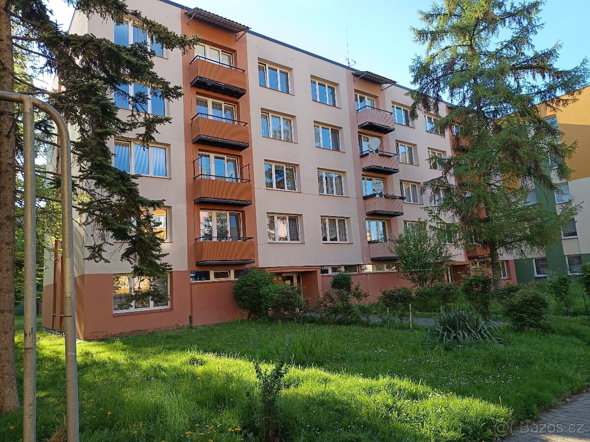 Prodej bytu 1+1 Č. Budějovice