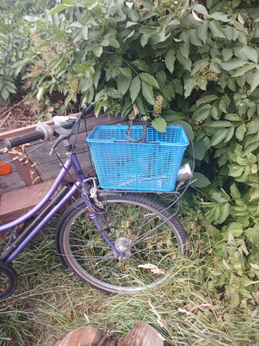 Motokolo nálezový stav