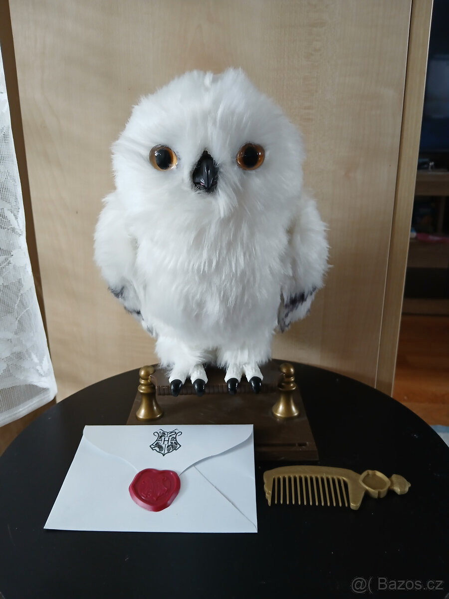 Sova Hedvika