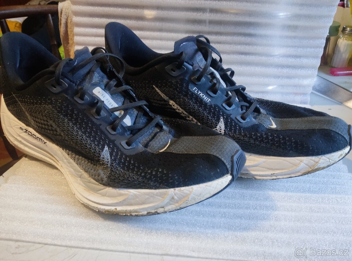 Nike Pegasus Plus č. 45