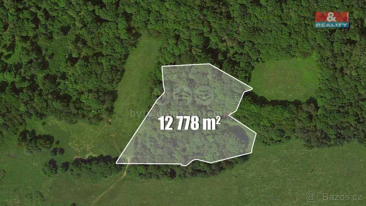Prodej lesa, 12778 m², Česká Kamenice - Kerhartice