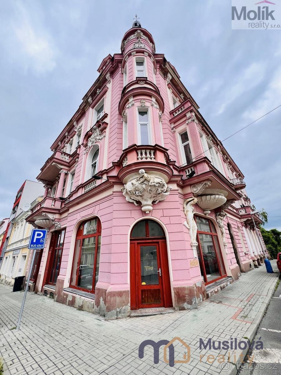Pronájem bytu 2+1 73 m2