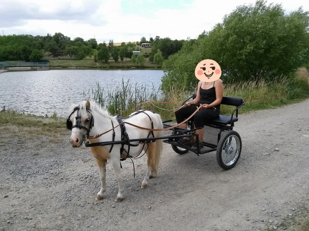 Sulka pro minipony